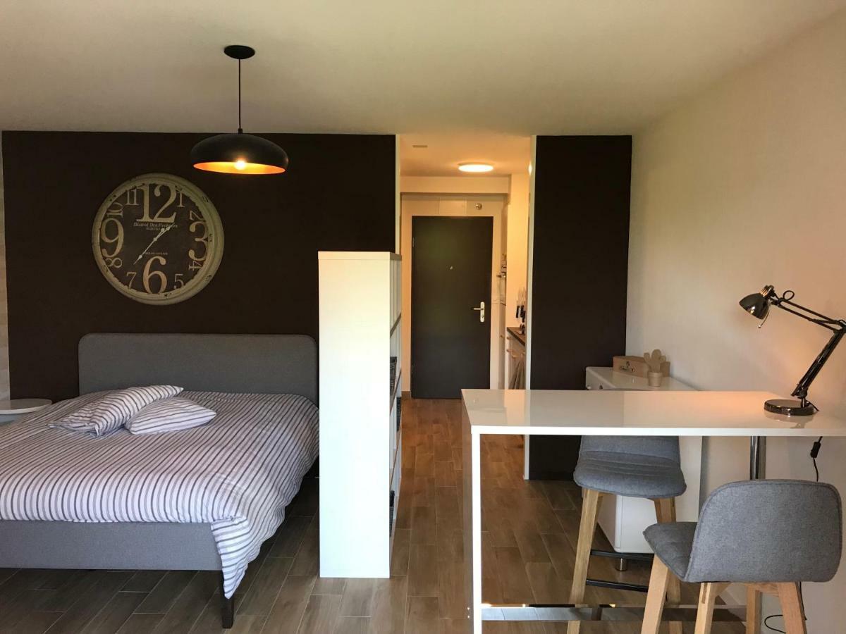 Large Studio Near Epfl And Lausanne City Center Ecublens  Exterior foto
